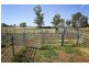 8354 Kamilaroi Road, Curlewis NSW 2381