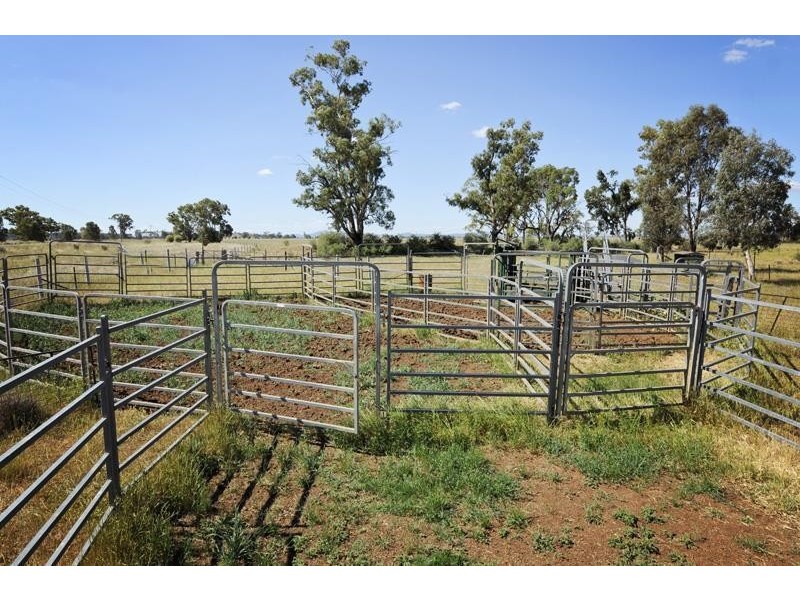 8354 Kamilaroi Road, Curlewis NSW 2381