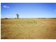 8354 Kamilaroi Road, Curlewis NSW 2381