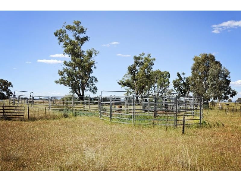 8354 Kamilaroi Road, Curlewis NSW 2381