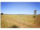 8354 Kamilaroi Road, Curlewis NSW 2381