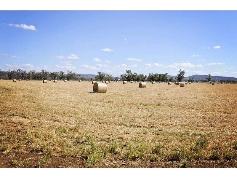 8354 Kamilaroi Road, Curlewis NSW 2381