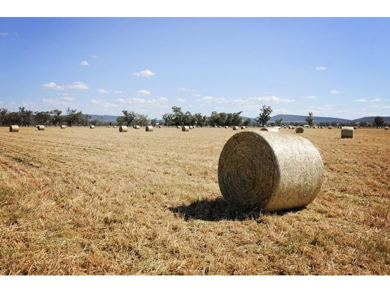 8354 Kamilaroi Road, Curlewis NSW 2381