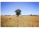 8354 Kamilaroi Road, Curlewis NSW 2381