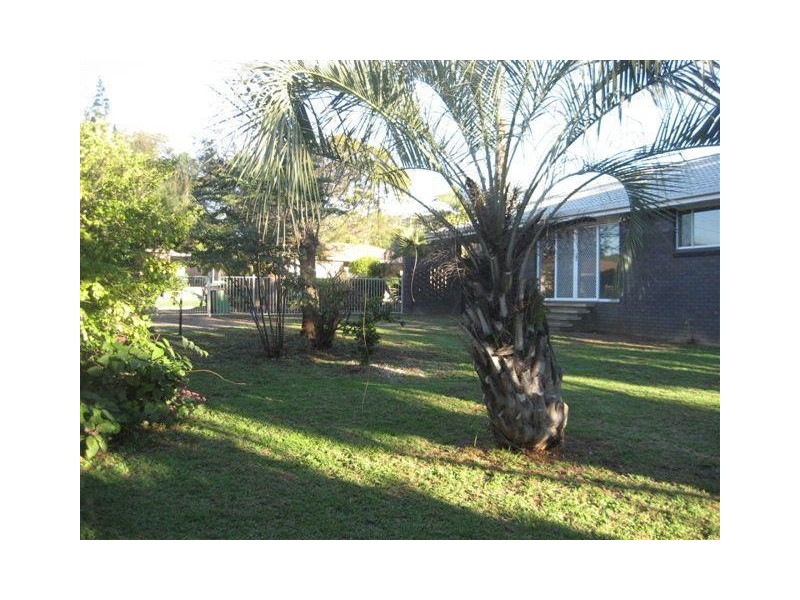 11 Ewing Street, Gunnedah NSW 2380