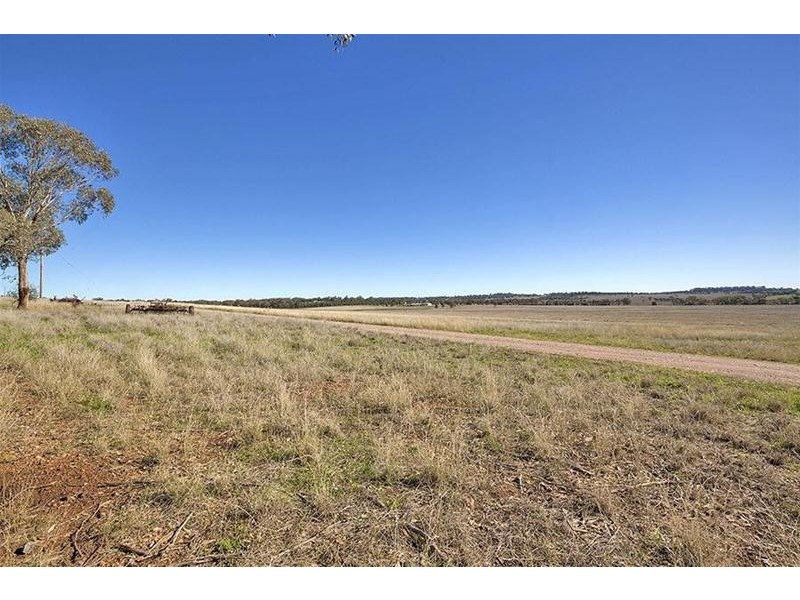 108 Quia Station Road, Gunnedah NSW 2380