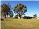 2386 Gunnedah Road, Kelvin NSW 2380