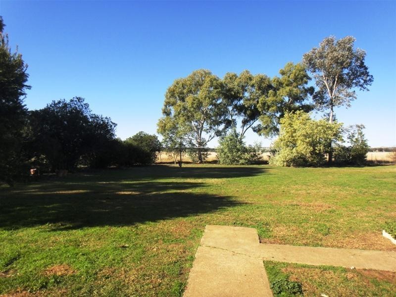 2386 Gunnedah Road, Kelvin NSW 2380