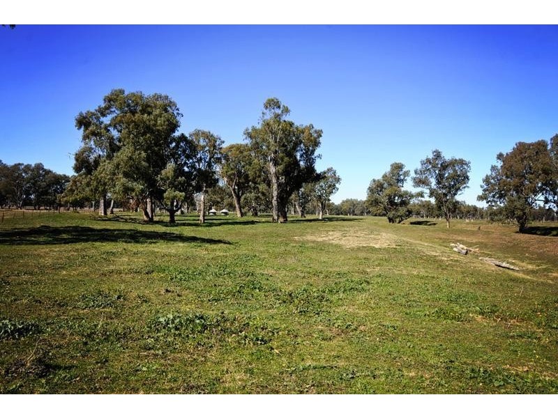 “Peppergrove Park” Peppergrove Lane, Gunnedah NSW 2380