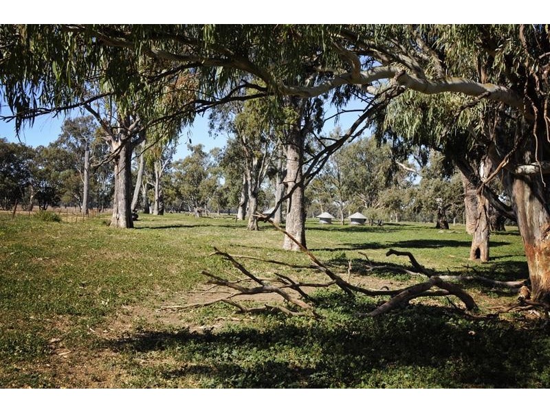 “Peppergrove Park” Peppergrove Lane, Gunnedah NSW 2380