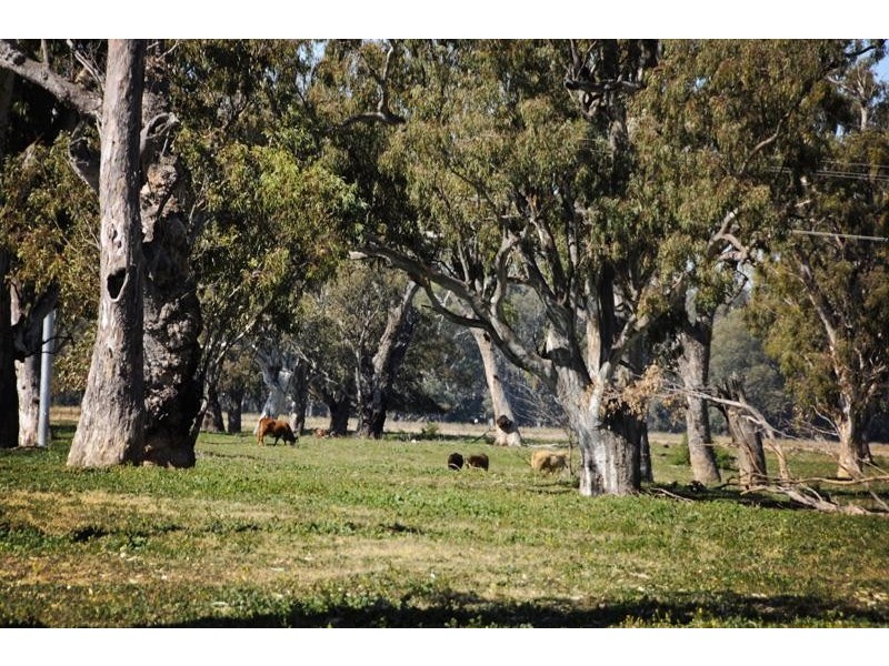 “Peppergrove Park” Peppergrove Lane, Gunnedah NSW 2380