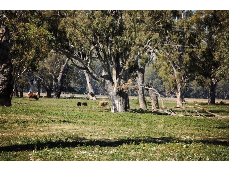 “Peppergrove Park” Peppergrove Lane, Gunnedah NSW 2380