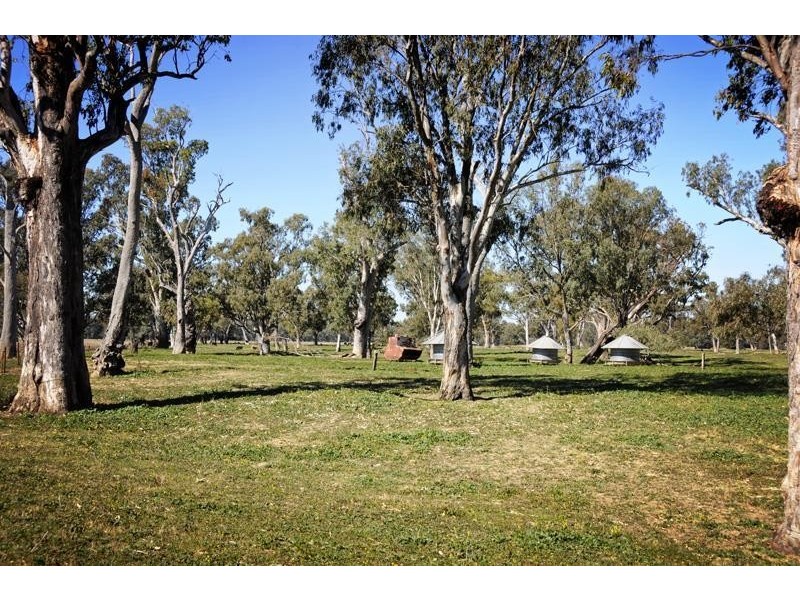 “Peppergrove Park” Peppergrove Lane, Gunnedah NSW 2380