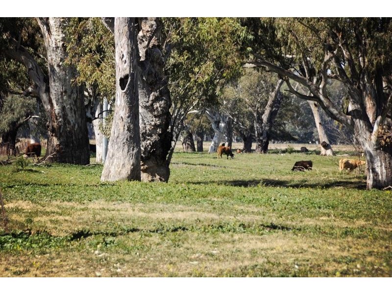 “Peppergrove Park” Peppergrove Lane, Gunnedah NSW 2380