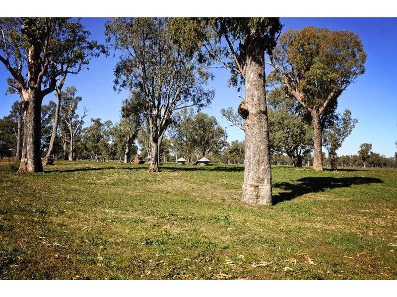 “Peppergrove Park” Peppergrove Lane, Gunnedah NSW 2380