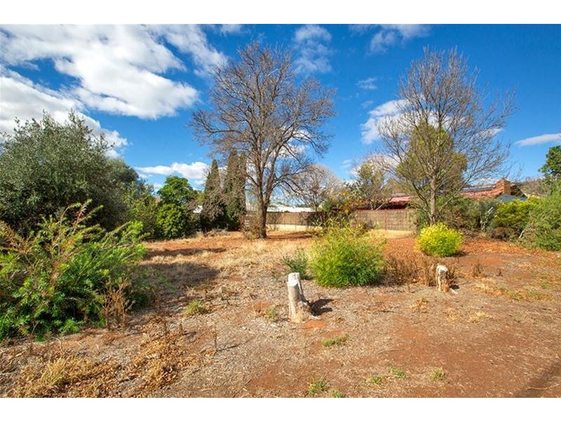 4 Sanders Place, Gunnedah NSW 2380