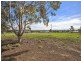229 Stock Road, Gunnedah NSW 2380