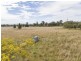 8299 Oxley Highway, Gunnedah NSW 2380