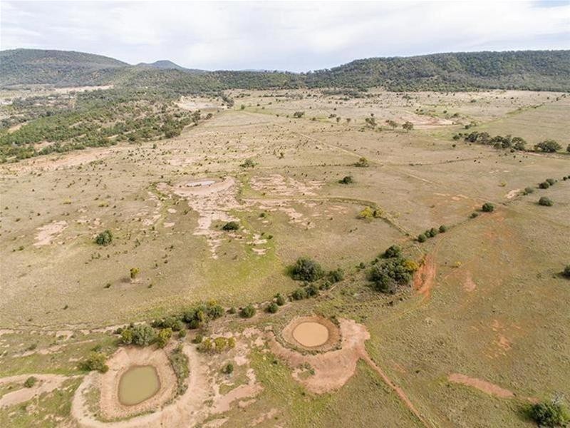 8299 Oxley Highway, Gunnedah NSW 2380