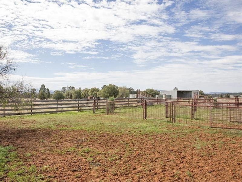 8299 Oxley Highway, Gunnedah NSW 2380