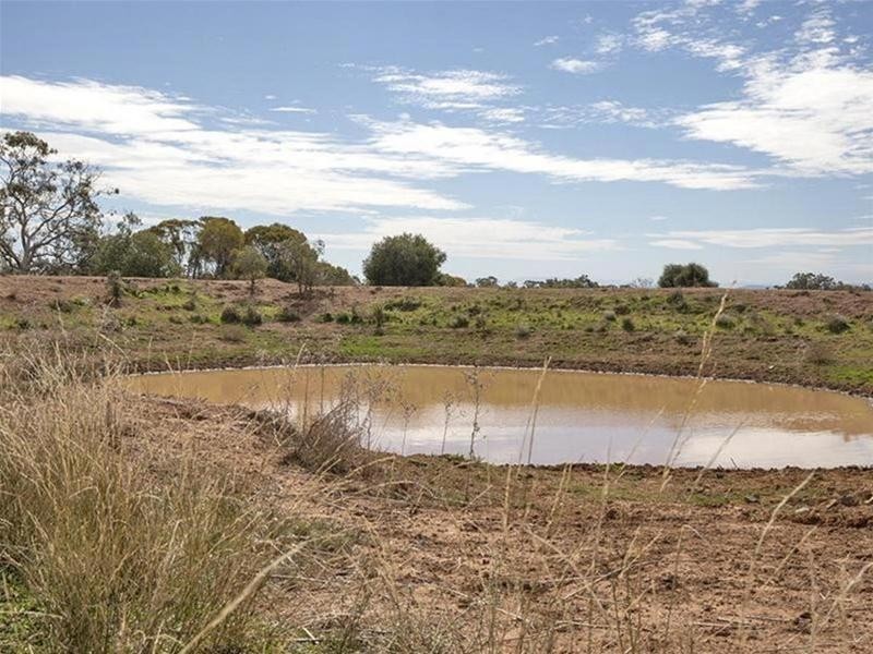 8299 Oxley Highway, Gunnedah NSW 2380