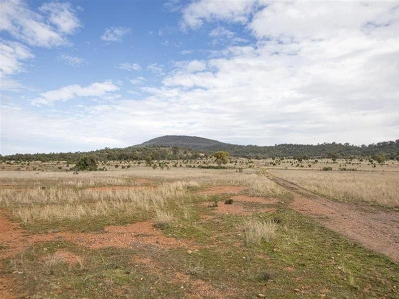 8299 Oxley Highway, Gunnedah NSW 2380