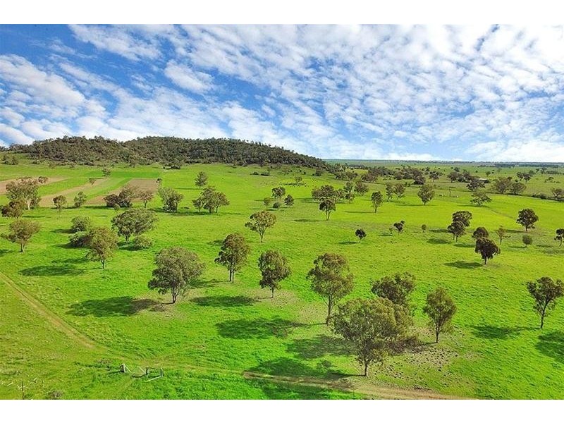 1554 Kelvin Road, Gunnedah NSW 2380