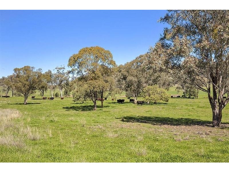 1554 Kelvin Road, Gunnedah NSW 2380