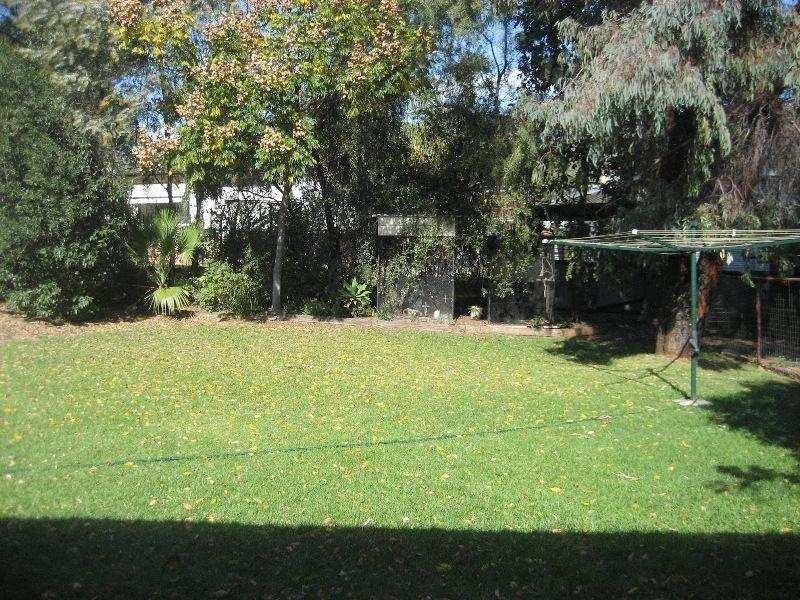 51 Marion Street, Gunnedah NSW 2380