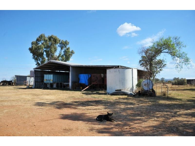 269 Wilga View Lane, Boggabri NSW 2382