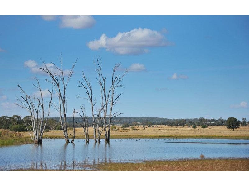 269 Wilga View Lane, Boggabri NSW 2382