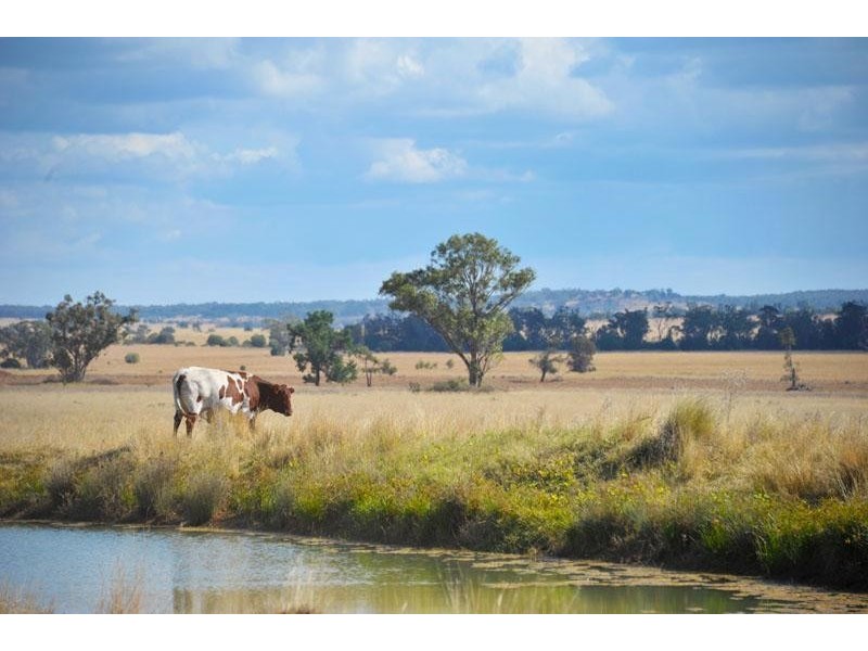 269 Wilga View Lane, Boggabri NSW 2382