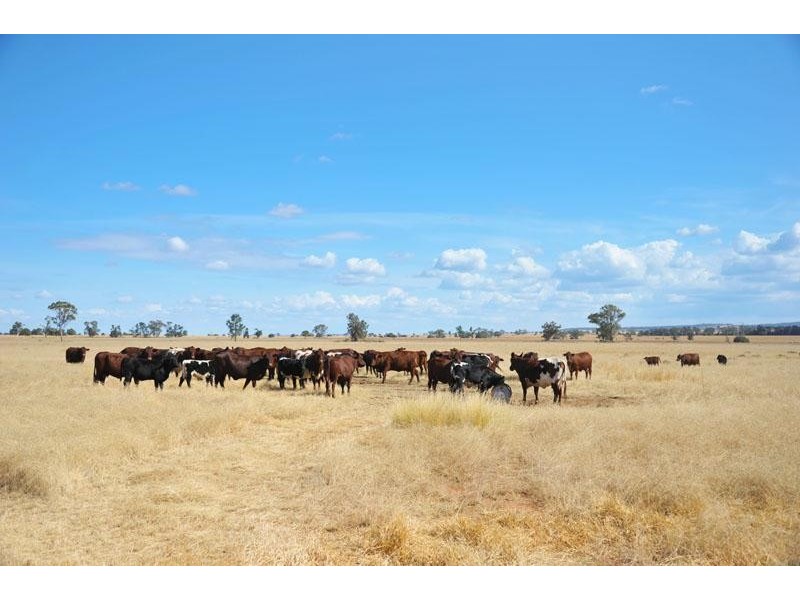 269 Wilga View Lane, Boggabri NSW 2382