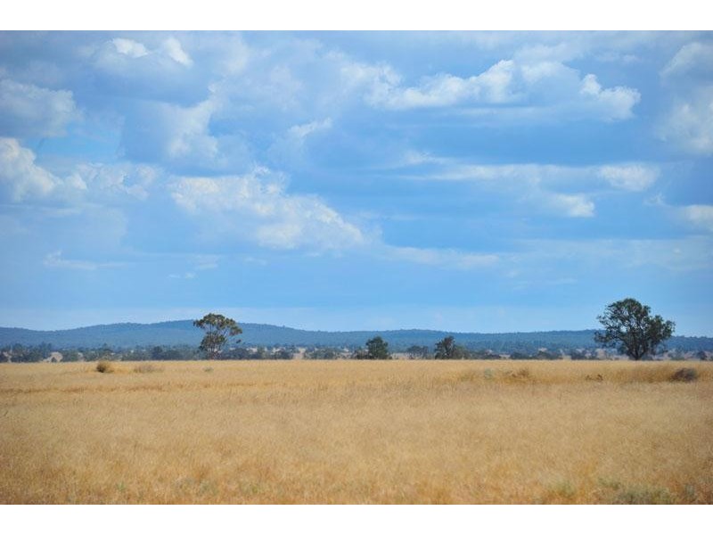 269 Wilga View Lane, Boggabri NSW 2382