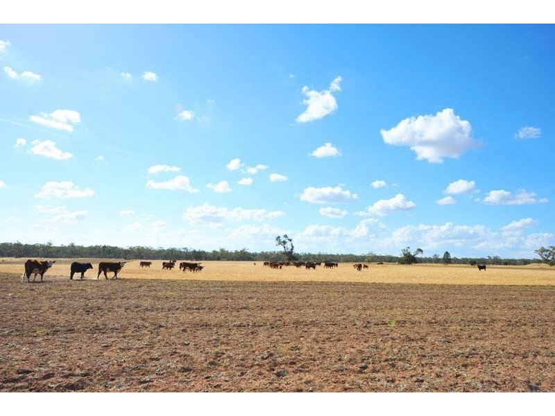 269 Wilga View Lane, Boggabri NSW 2382