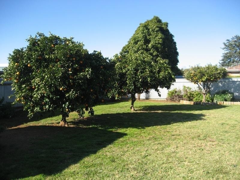 30 Bando Street, Gunnedah NSW 2380