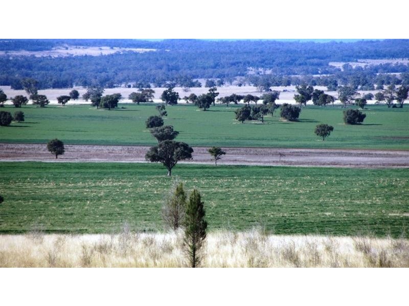 Via Blairmore Road, Boggabri NSW 2382