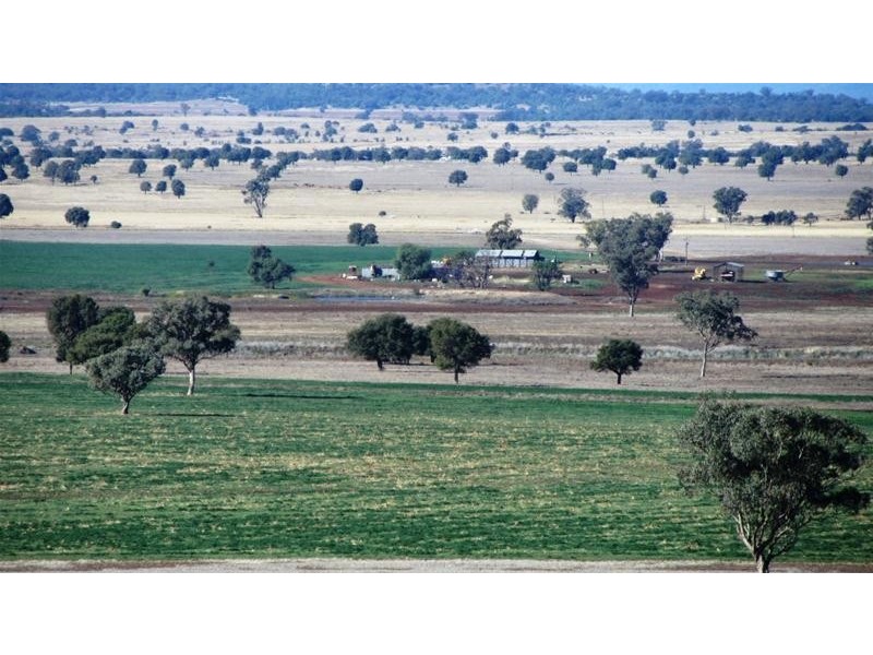 Via Blairmore Road, Boggabri NSW 2382