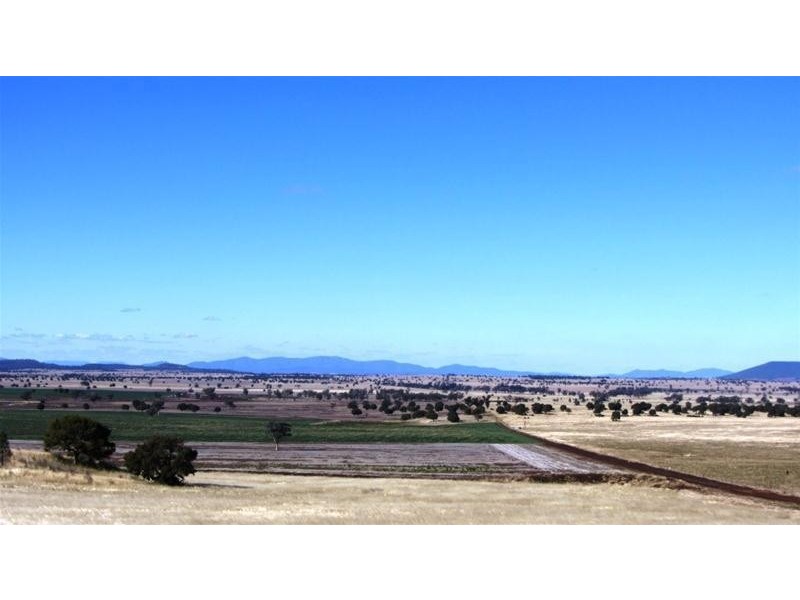Via Blairmore Road, Boggabri NSW 2382