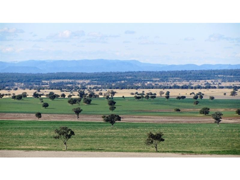 Via Blairmore Road, Boggabri NSW 2382