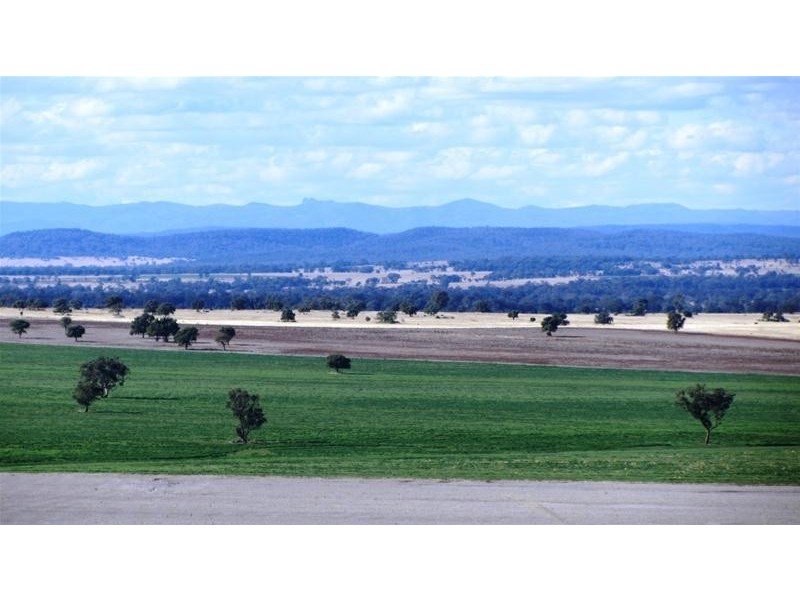 Via Blairmore Road, Boggabri NSW 2382