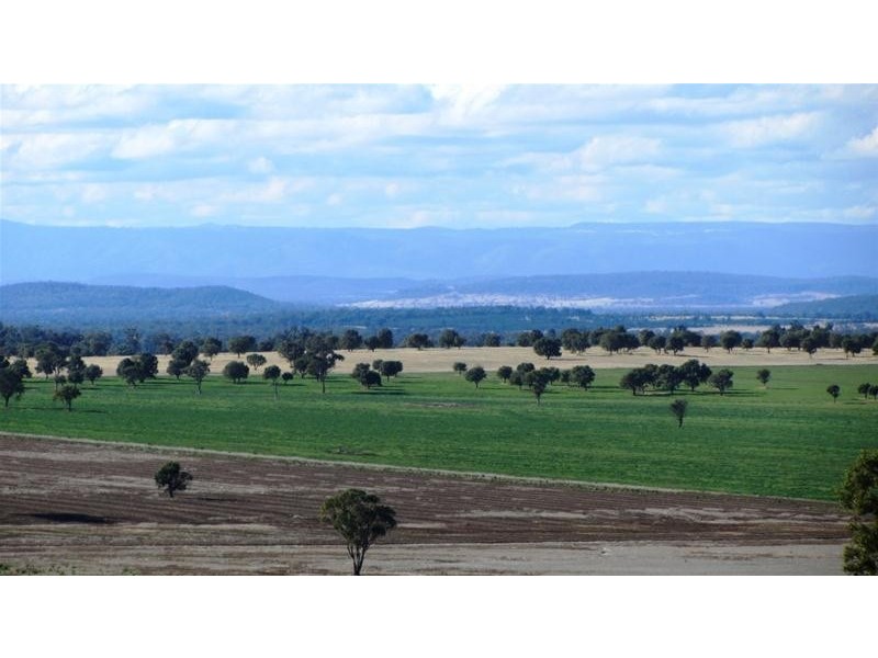 Via Blairmore Road, Boggabri NSW 2382