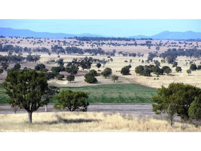 Via Blairmore Road, Boggabri NSW 2382