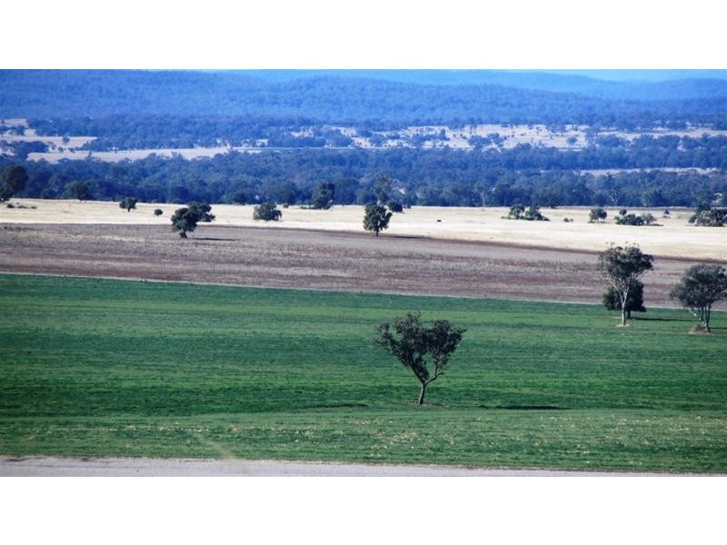 Via Blairmore Road, Boggabri NSW 2382