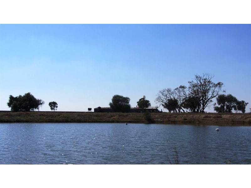 Via Blairmore Road, Boggabri NSW 2382