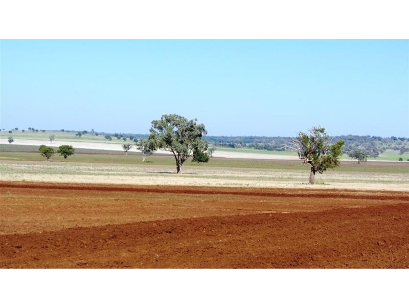 Via Blairmore Road, Boggabri NSW 2382