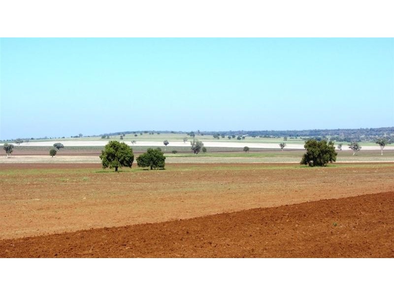 Via Blairmore Road, Boggabri NSW 2382