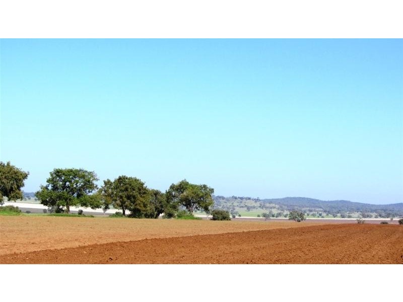 Via Blairmore Road, Boggabri NSW 2382