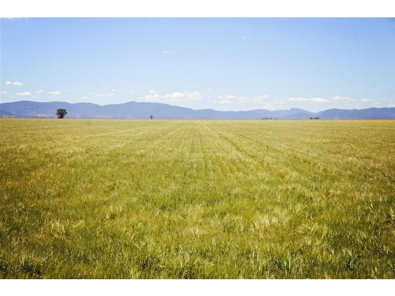 8354 Kamilaroi Highway, Gunnedah NSW 2380