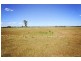 8354 Kamilaroi Highway, Gunnedah NSW 2380